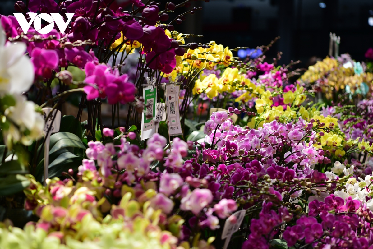 Bên trong chợ hoa lớn nhất châu Á - nơi 1 bó hoa có giá chỉ bằng 1 bông hoa - Ảnh 13.