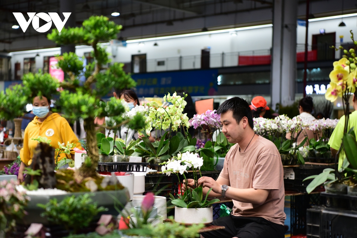 Bên trong chợ hoa lớn nhất châu Á - nơi 1 bó hoa có giá chỉ bằng 1 bông hoa - Ảnh 12.