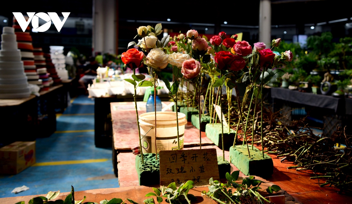 Bên trong chợ hoa lớn nhất châu Á - nơi 1 bó hoa có giá chỉ bằng 1 bông hoa - Ảnh 18.