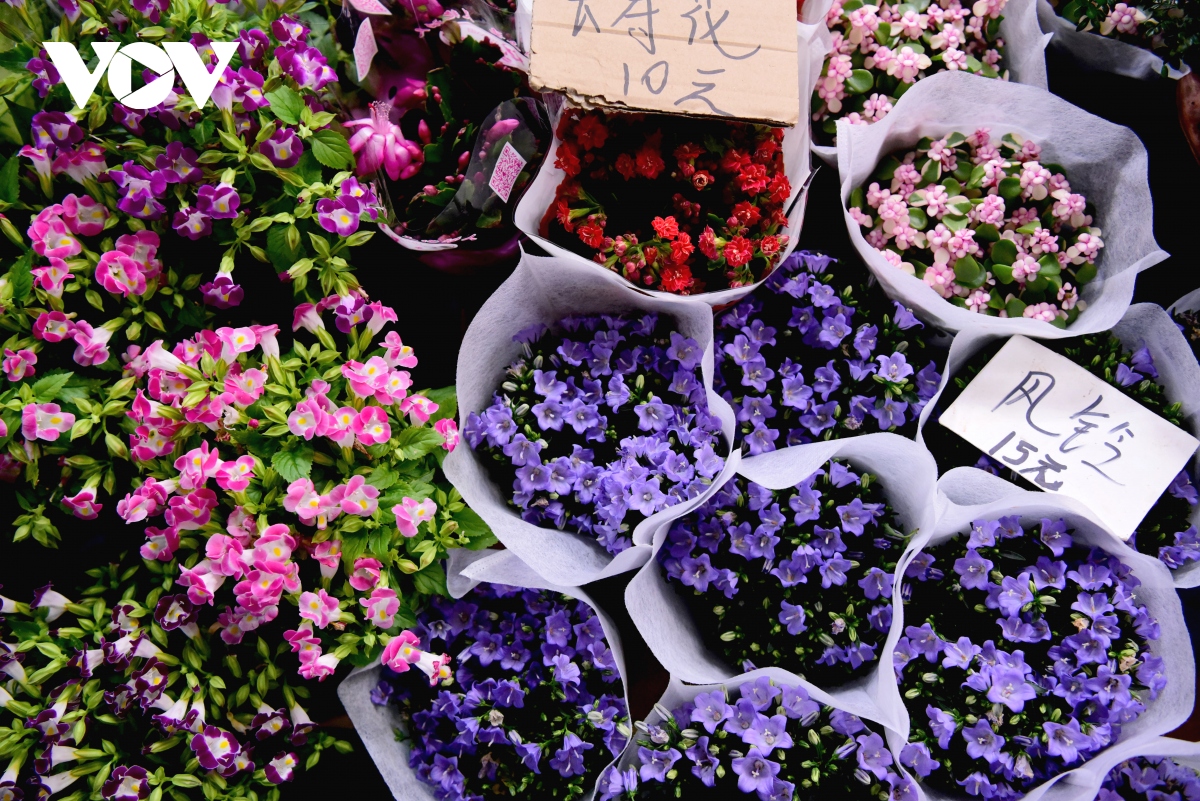 Bên trong chợ hoa lớn nhất châu Á - nơi 1 bó hoa có giá chỉ bằng 1 bông hoa - Ảnh 3.