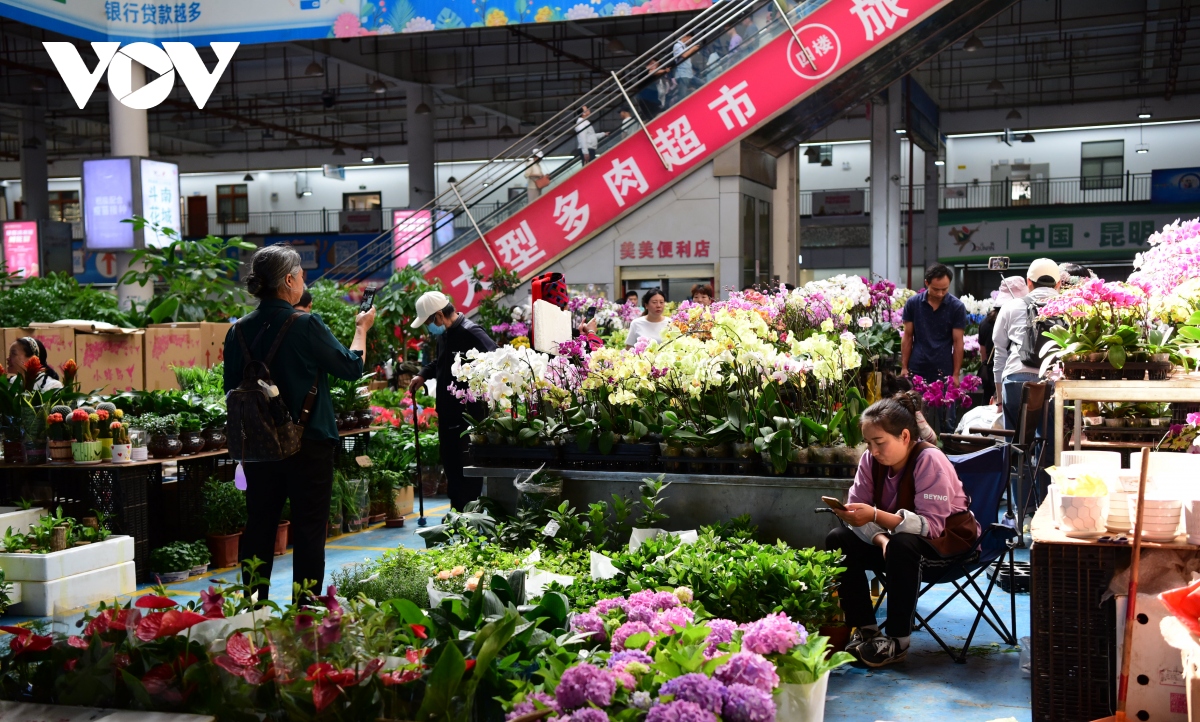 Bên trong chợ hoa lớn nhất châu Á - nơi 1 bó hoa có giá chỉ bằng 1 bông hoa - Ảnh 21.