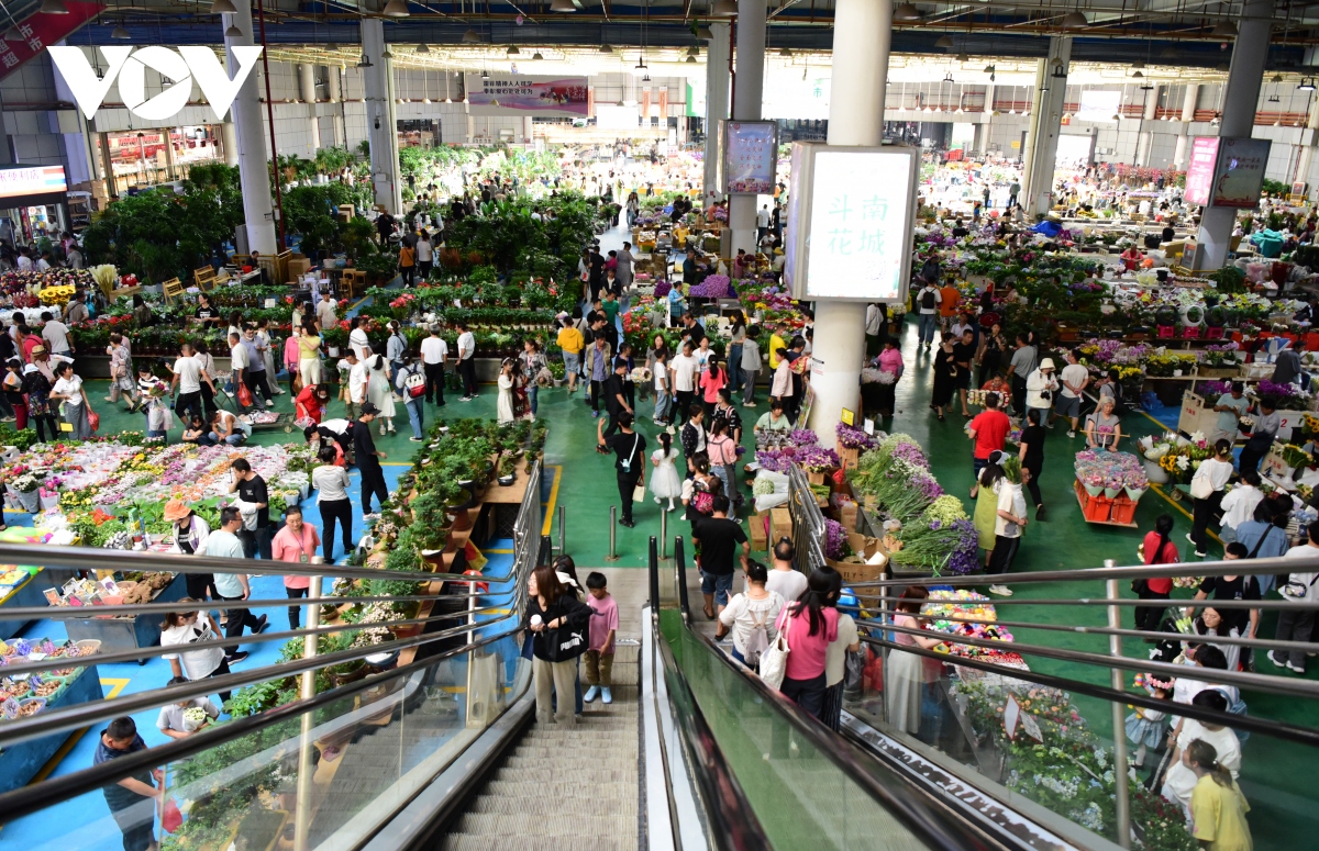 Bên trong chợ hoa lớn nhất châu Á - nơi 1 bó hoa có giá chỉ bằng 1 bông hoa - Ảnh 10.