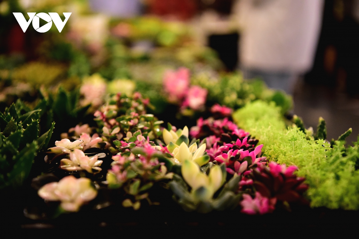 Bên trong chợ hoa lớn nhất châu Á - nơi 1 bó hoa có giá chỉ bằng 1 bông hoa - Ảnh 8.