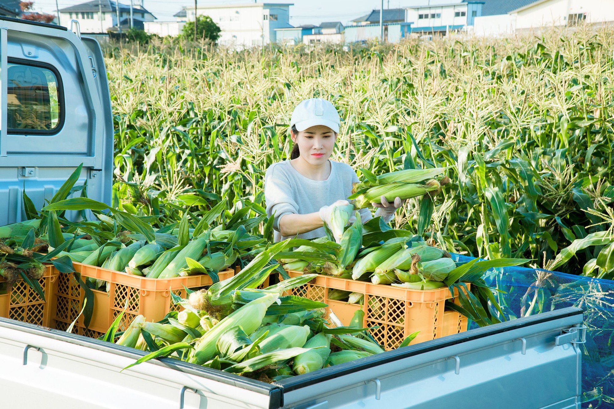 Nàng dâu Việt được báo Nhật ca ngợi nhờ quảng bá hình ảnh đẹp về nông nghiệp - Ảnh 1.