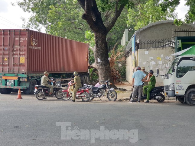 Tài xế container hoảng hồn khi cây xanh cổ thụ bất ngờ đè bẹp cabin - Ảnh 4.