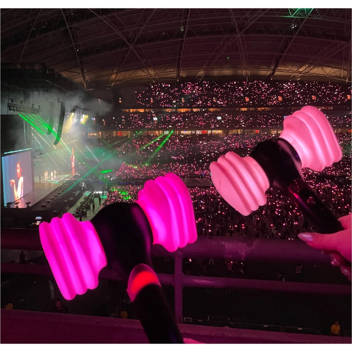 BLACKPINK tổ chức concert tại Hà Nội: Lên kế hoạch chi hết lương tháng cho thần tượng - Ảnh 2.