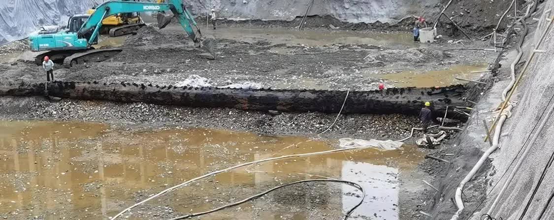 Máy xúc vô tình đào được cây gỗ 40m, công trường lập tức bị phong tỏa: Chuyên gia nhận định “kho báu” này không dưới 300 tỷ đồng - Ảnh 3. Máy xúc vô tình đào được cây gỗ 40m, công trường lập tức bị phong tỏa: Chuyên gia nhận định “kho báu” này không dưới 300 tỷ đồng - Ảnh 3.