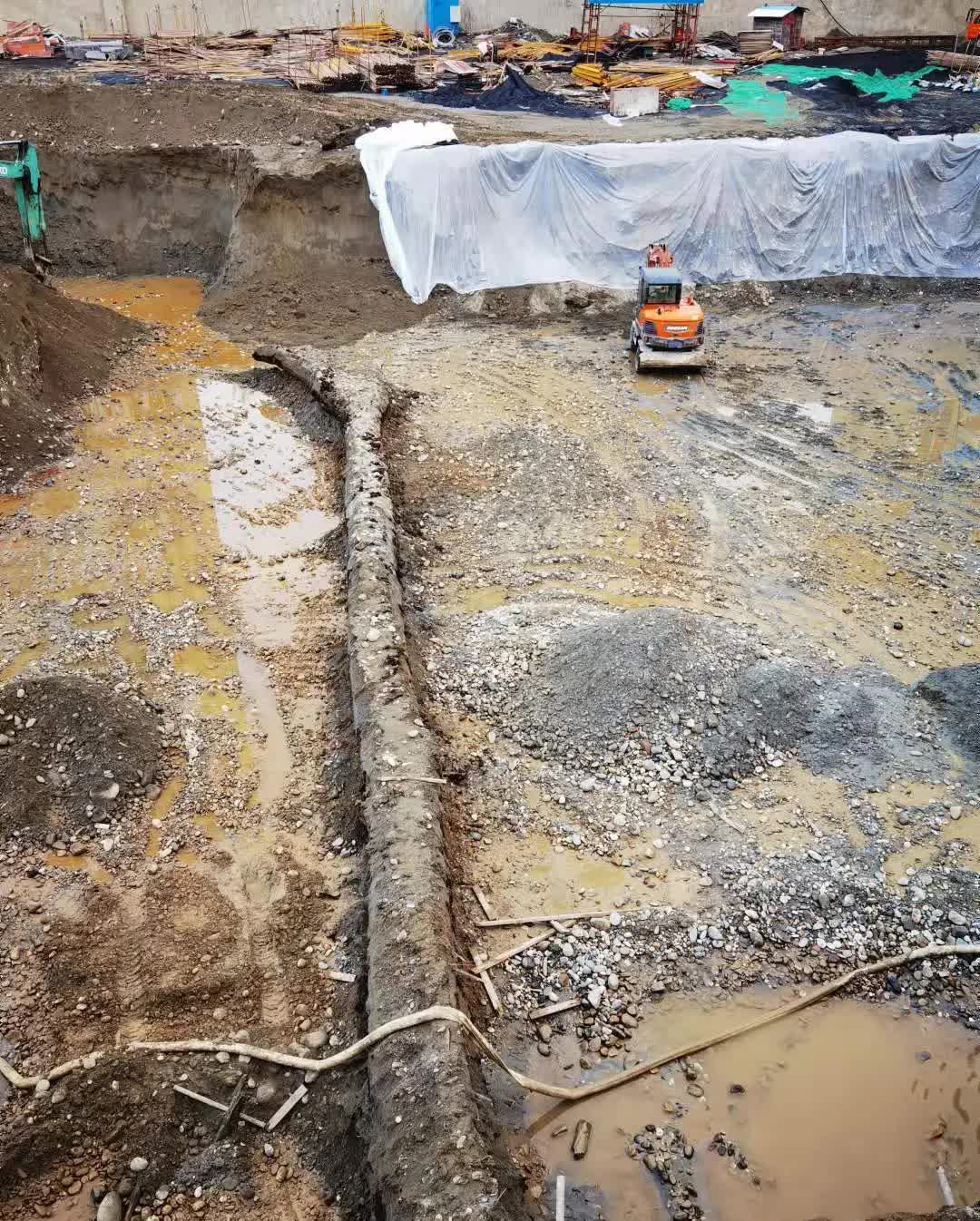 Máy xúc vô tình đào được cây gỗ 40m, công trường lập tức bị phong tỏa: Chuyên gia nhận định “kho báu” này không dưới 300 tỷ đồng - Ảnh 2. Máy xúc vô tình đào được cây gỗ 40m, công trường lập tức bị phong tỏa: Chuyên gia nhận định “kho báu” này không dưới 300 tỷ đồng - Ảnh 2.