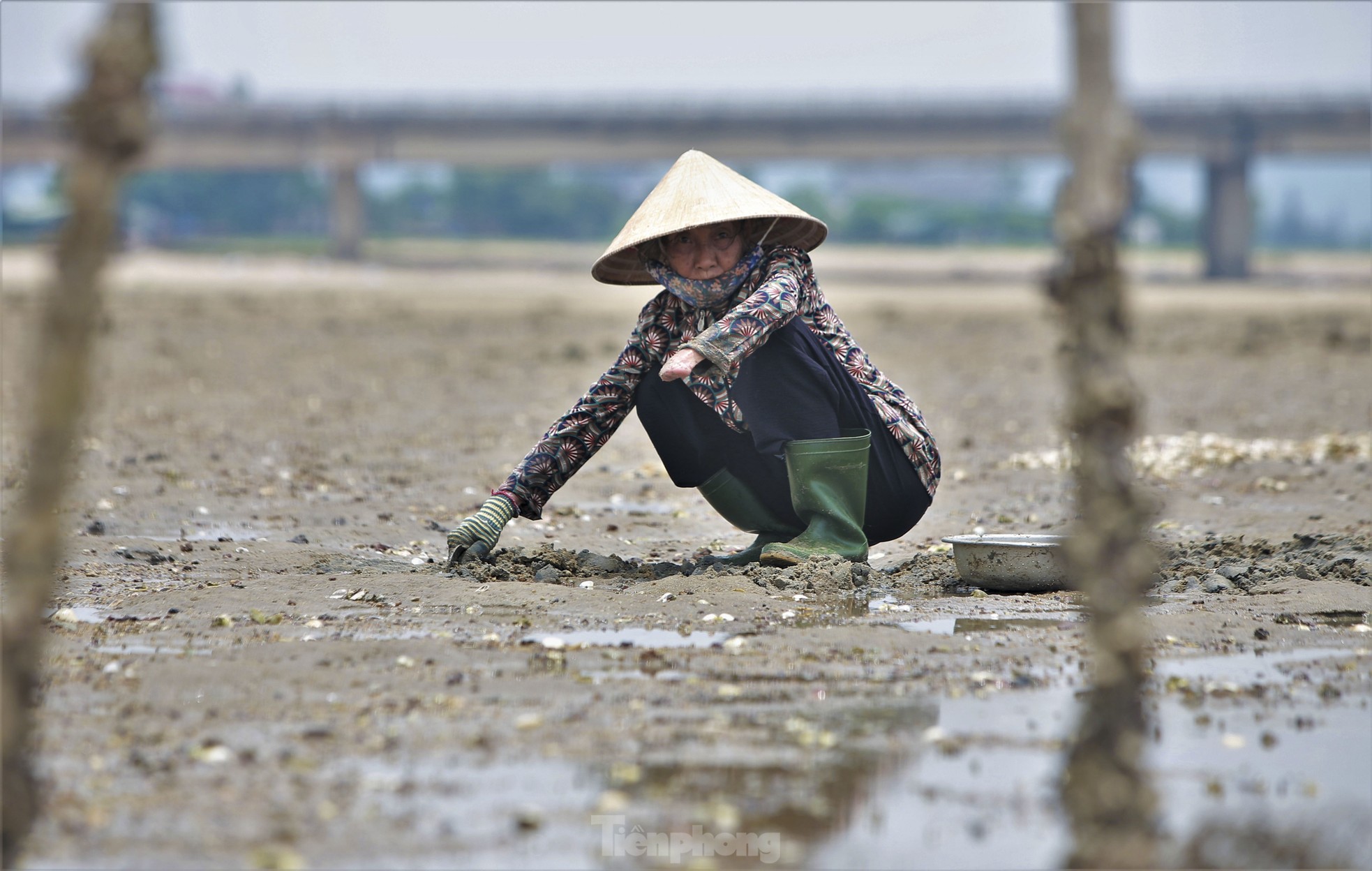 Những phụ nữ vùng biển đội nắng bới cát kiếm thêm thu nhập - Ảnh 7.