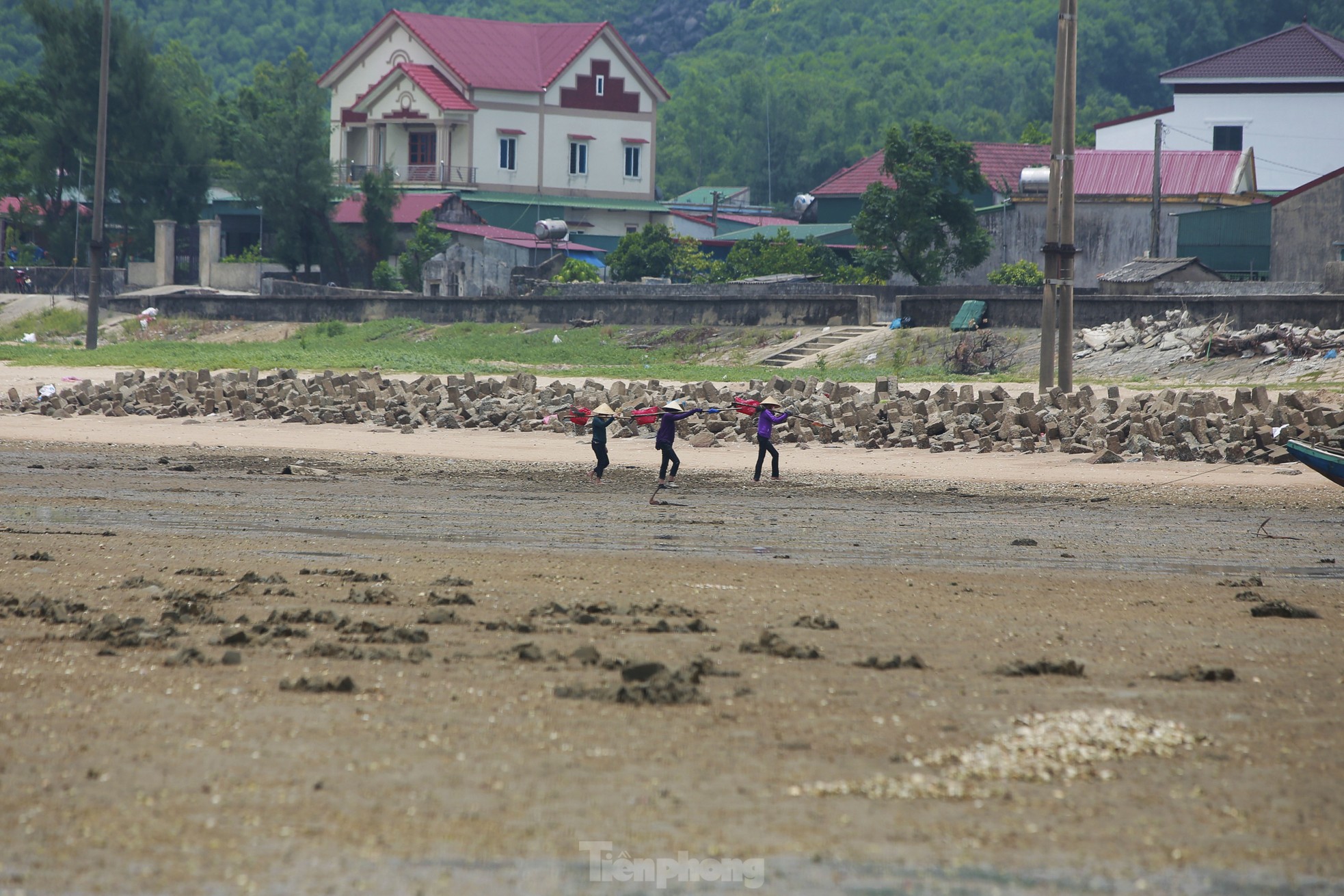 Những phụ nữ vùng biển đội nắng bới cát kiếm thêm thu nhập - Ảnh 10.