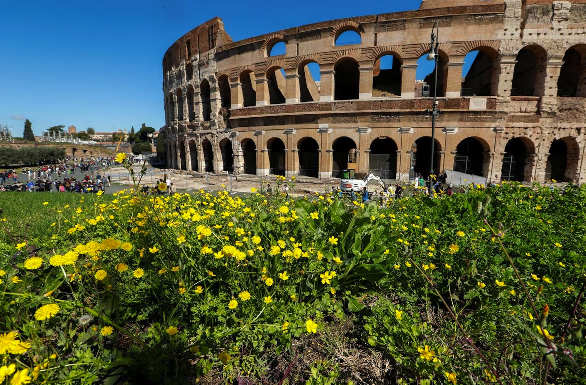 Italy truy tìm và trừng phạt du khách vẽ bậy lên  bức tường Đấu trường La Mã - Ảnh 3.