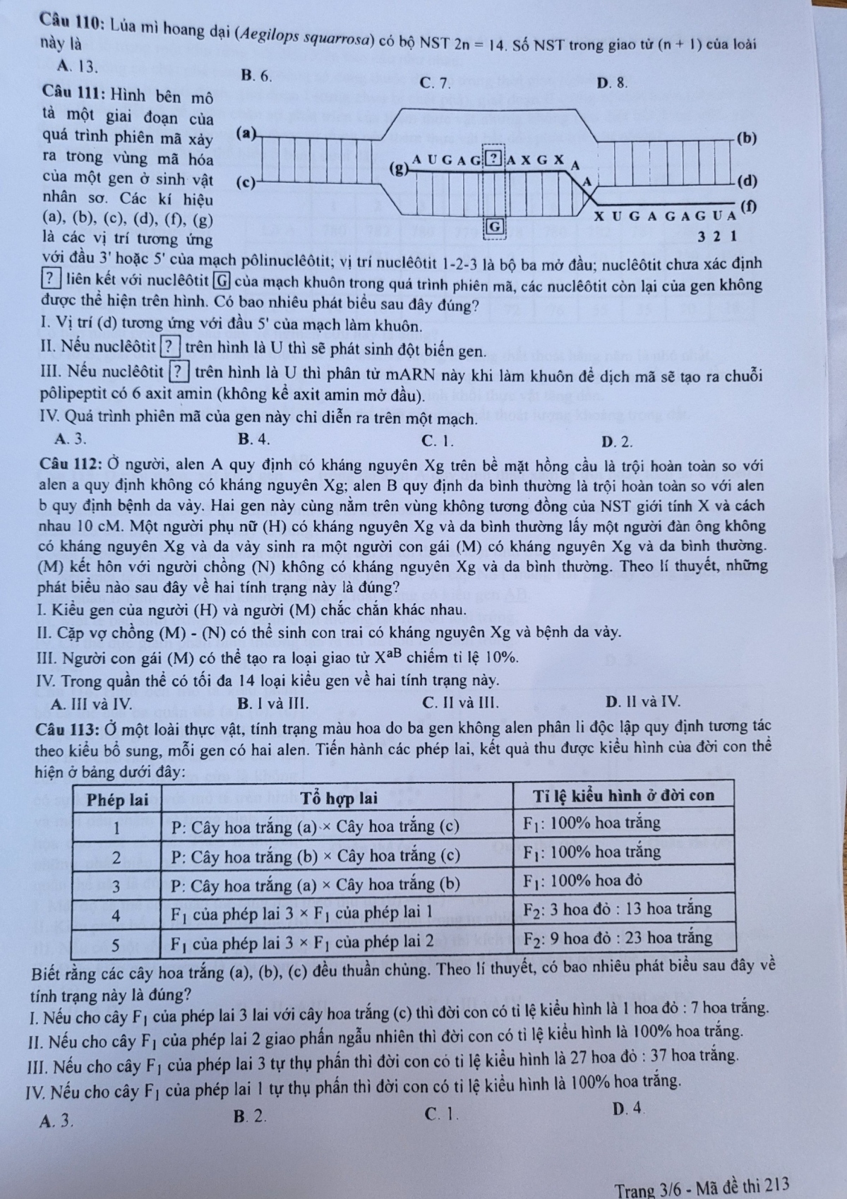 Đề thi Sinh học kỳ thi tốt nghiệp THPT 2023 - Ảnh 3.