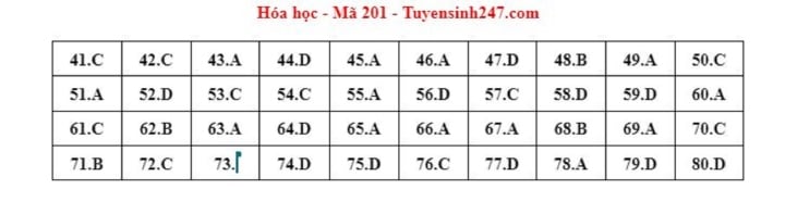 Gợi ý đáp án môn Hóa học mã đề 201 kỳ thi tốt nghiệp THPT 2023 - Ảnh 1.