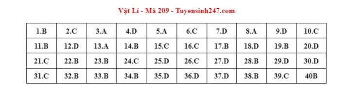 Gợi ý đáp án môn Vật lý mã đề 209 kỳ thi tốt nghiệp THPT 2023 - Ảnh 1.