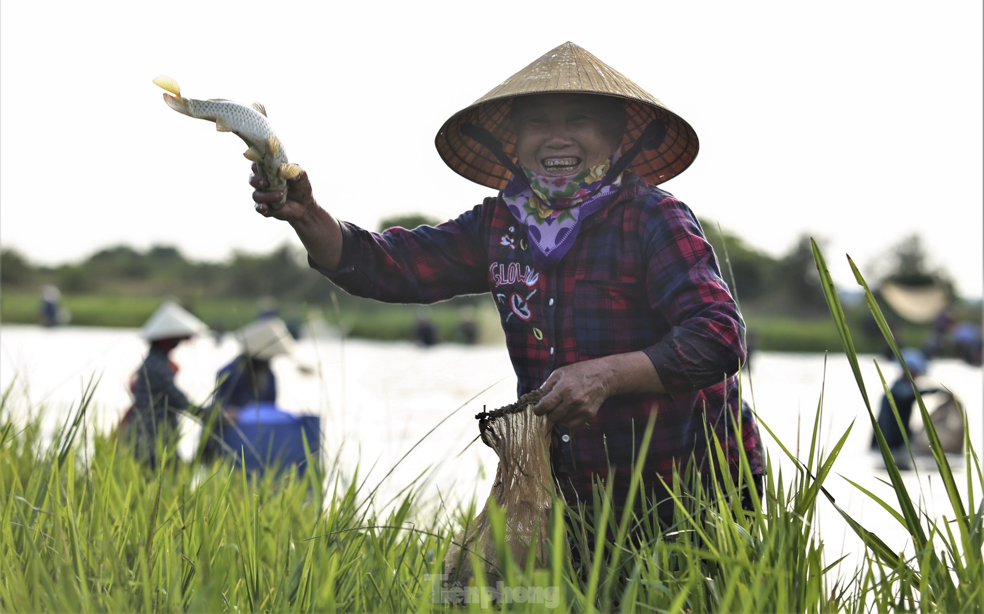 Hàng nghìn người đội nắng chen chúc bắt cá cầu may - Ảnh 12.