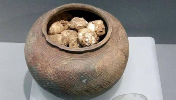 Vì sao các nhà khảo cổ lại sợ “trứng gà” khi khai quật mộ cổ? - Ảnh 3.