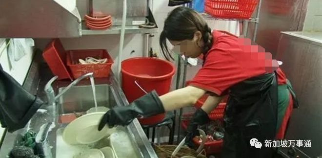 Bỏ việc văn phòng, cô gái trẻ đi rửa bát thuê: Kiếm gần 54 triệu đồng/tháng, ngày chỉ làm 4 tiếng, thời gian rảnh tha hồ bấm điện thoại - Ảnh 3. Bỏ việc văn phòng, cô gái trẻ đi rửa bát thuê: Kiếm gần 54 triệu đồng/tháng, ngày chỉ làm 4 tiếng, thời gian rảnh tha hồ bấm điện thoại - Ảnh 3.