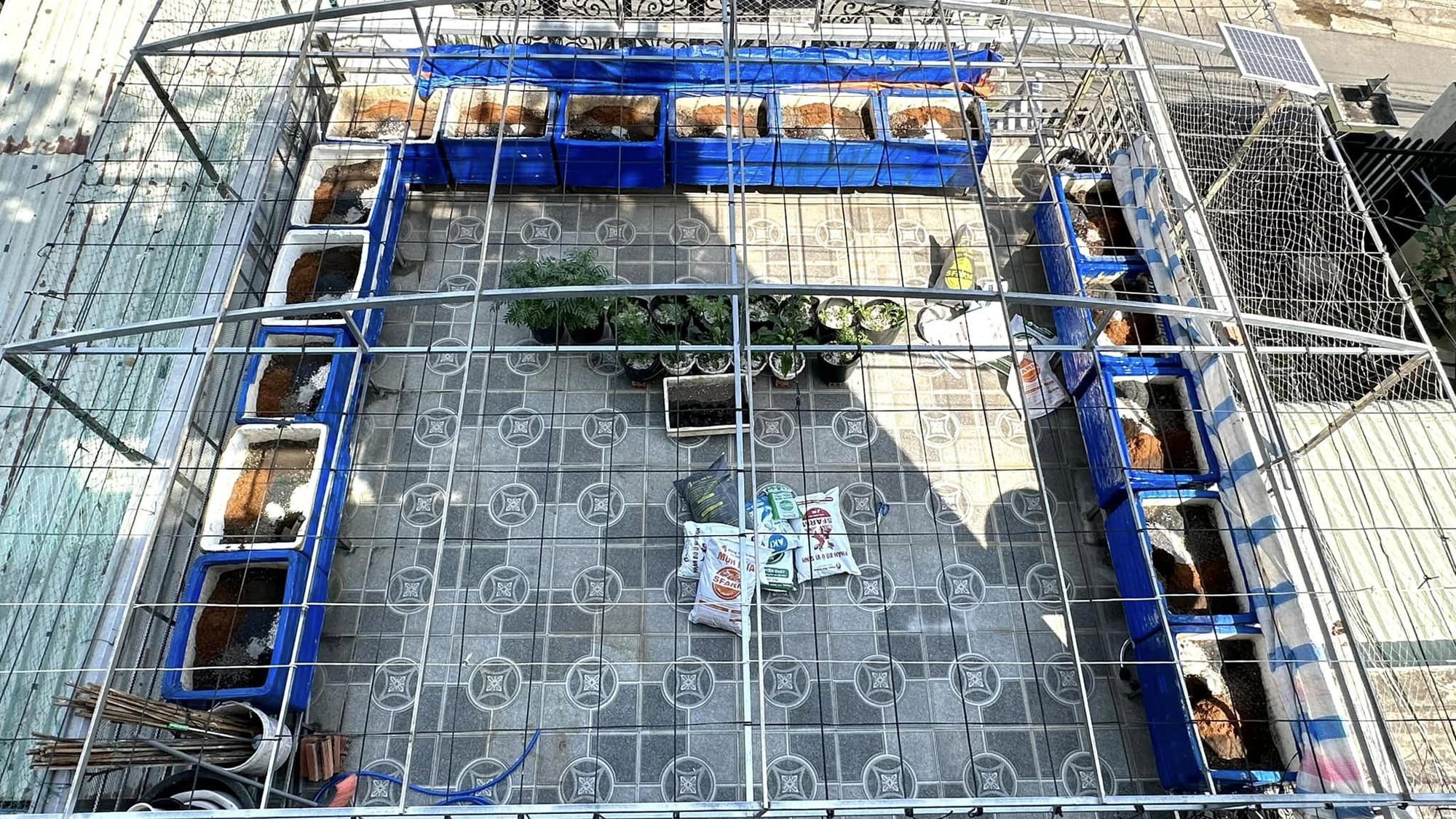 “Cắt” 1 tiếng/ngày làm nông dân, nữ kế toán biến sân thượng 50m2 thành khu vườn ngập tràn rau quả - Ảnh 4. “Cắt” 1 tiếng/ngày làm nông dân, nữ kế toán biến sân thượng 50m2 thành khu vườn ngập tràn rau quả - Ảnh 4.