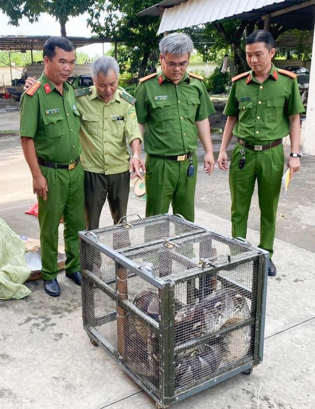 Trăn gấm 50kg &quot;đi lạc&quot; vào nhà vệ sinh của người dân - Ảnh 2.