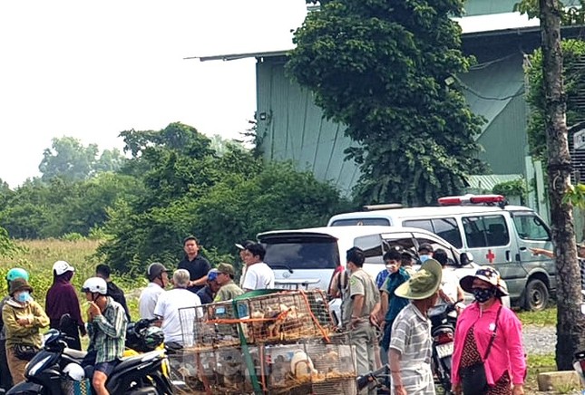 Nam thanh niên tử vong trong tư thế treo lơ lửng dưới gốc cây bên đường - Ảnh 1.