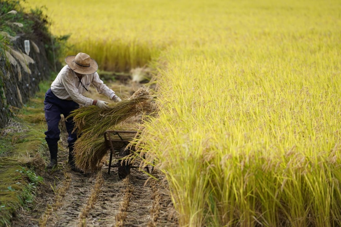 Tại sao người Nhật không còn &quot;mặn mà&quot; với cơm mà dần chuyển sang bánh mì? - Ảnh 4.