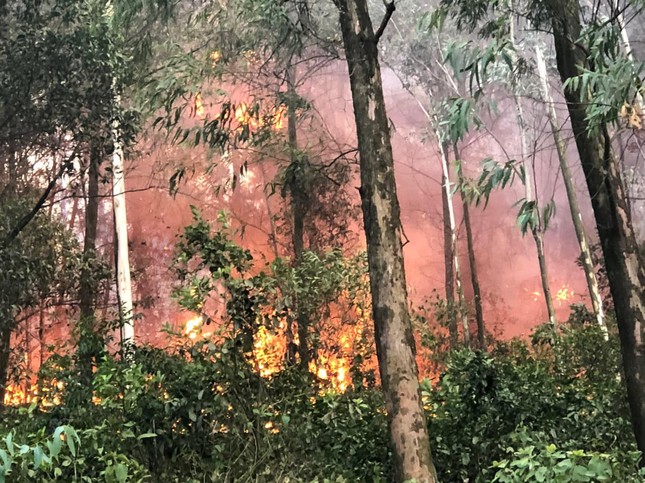 Cháy hơn 100 hecta rừng thông, hàng trăm người tham gia dập lửa - Ảnh 3.