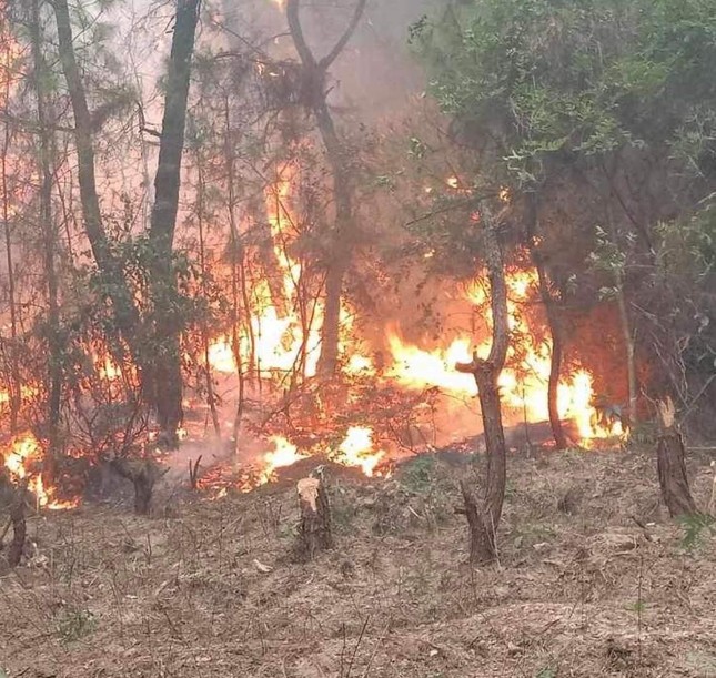 Cháy hơn 100 hecta rừng thông, hàng trăm người tham gia dập lửa - Ảnh 1.