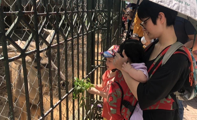 Vườn thú Hà Nội thu hút nhiều du khách tham quan dịp nghỉ hè - Ảnh 4.