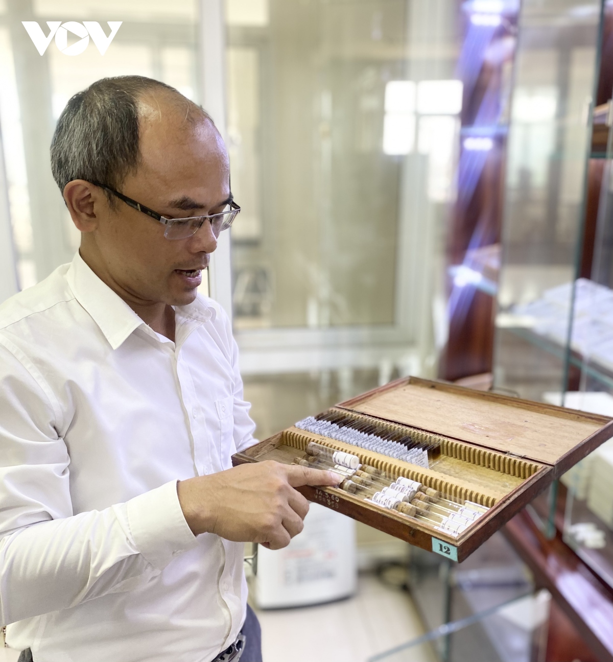 Bảo tàng côn trùng y học độc nhất ở Việt Nam - Ảnh 21.