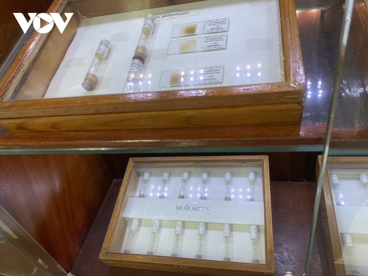 Bảo tàng côn trùng y học độc nhất ở Việt Nam - Ảnh 9.