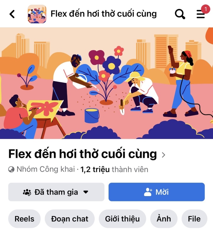 Vì sao trào lưu Flex lại khiến dân mạng 'phát cuồng'? - Ảnh 1.