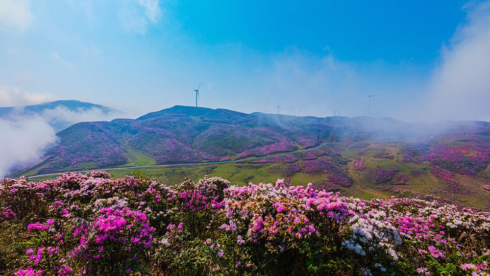 &quot;Thành phố không dùng điều hòa&quot; ở Trung Quốc: Người dân không biết nắng nóng là gì, mùa hè ngủ còn phải đắp chăn - Ảnh 10.