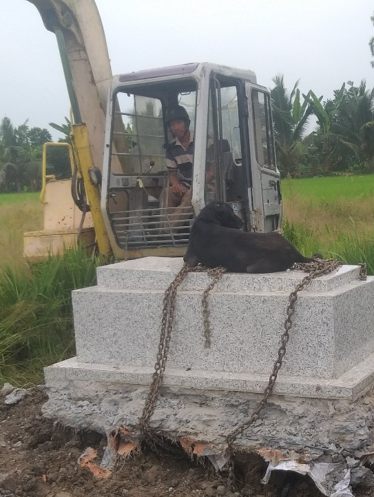 &quot;Cô&quot; chó 6 năm canh mộ cậu chủ ở Long An, có người hỏi mua 300 triệu nhưng gia đình nhất quyết không bán - Ảnh 6.