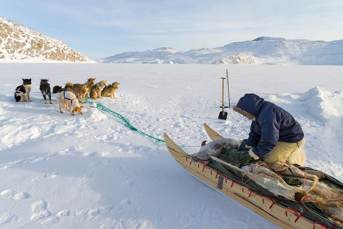 Tại sao người Inuit lại có tập tục trao đổi vợ? - Ảnh 3.