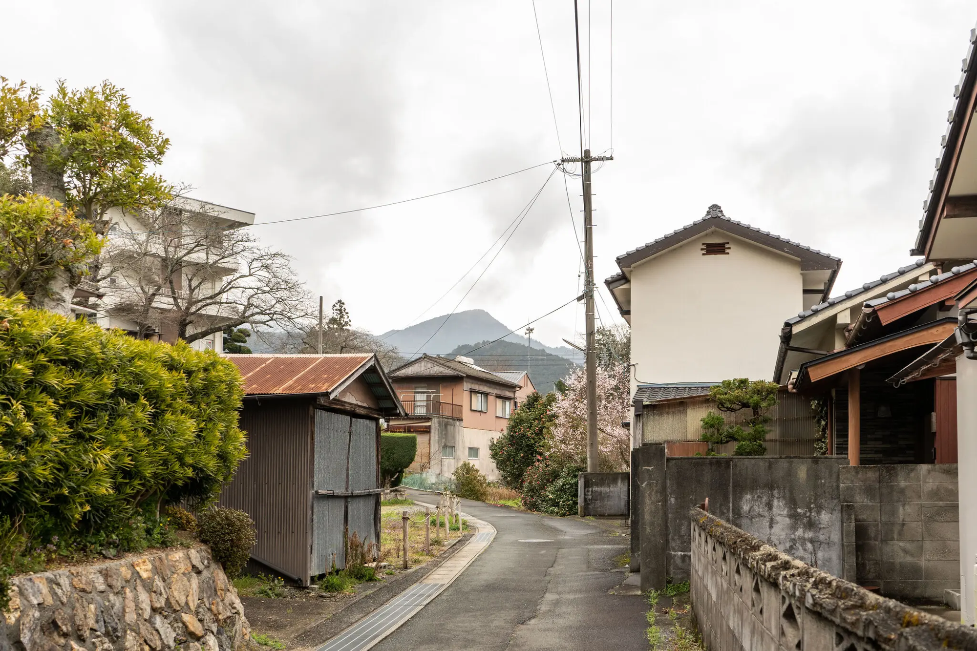 Cuộc hành hương đến Shikoku: 88 ngôi chùa, 1.200 km và những món quà chưa kể - Ảnh 2.
