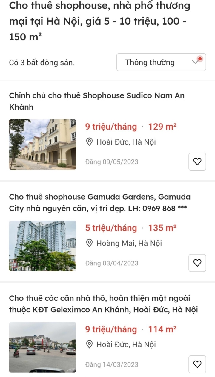 Nghịch lý đầu tư shophouse hàng chục tỉ đồng, giờ cho thuê 10 triệu đồng/tháng - Ảnh 2. Nghịch lý đầu tư shophouse hàng chục tỉ đồng, giờ cho thuê 10 triệu đồng/tháng - Ảnh 2.