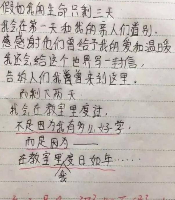 Cậu bé tiểu học viết bài văn khiến giáo viên dở khóc dở cười, dân mạng cảm thán: Không lường được cái kết! - Ảnh 1.