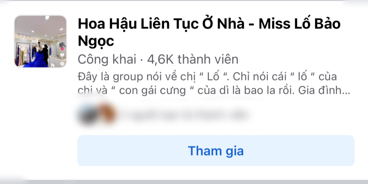 Giữa ồn ào lấn lướt Hoa hậu Mai Phương, Bảo Ngọc bị lập hàng loạt group anti chỉ trích - Ảnh 2.