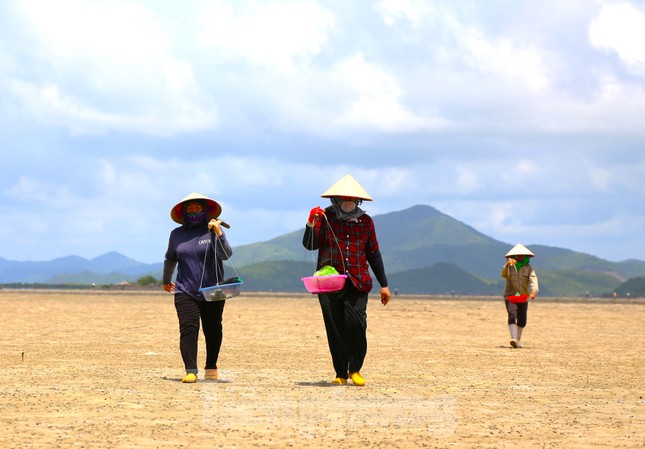 Người dân Quan Lạn đào &quot;vàng ròng&quot; trên cát - Ảnh 1.