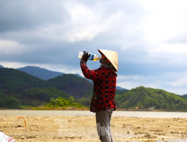 Người dân Quan Lạn đào &quot;vàng ròng&quot; trên cát - Ảnh 8.