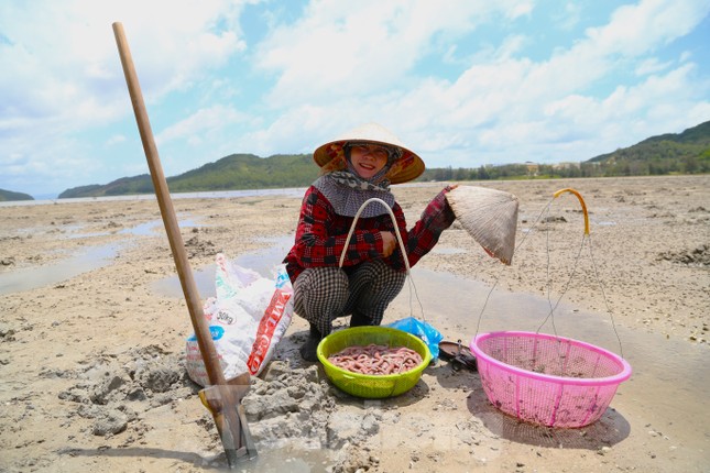 Người dân Quan Lạn đào &quot;vàng ròng&quot; trên cát - Ảnh 6.