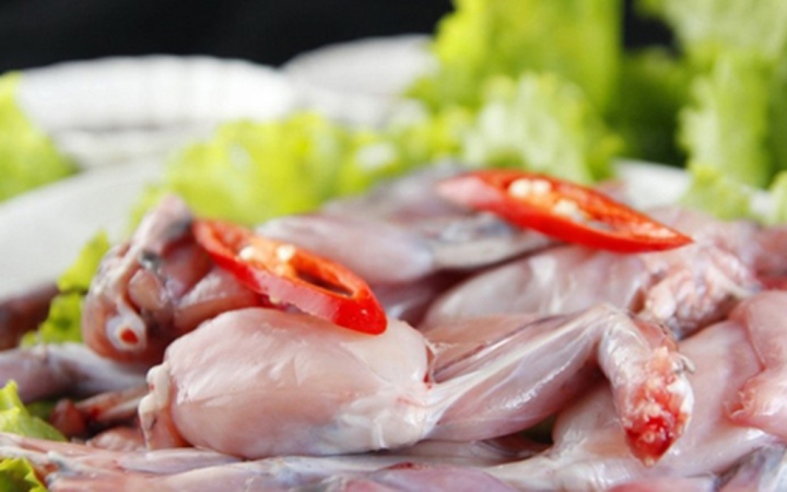 Trẻ suy dinh dưỡng có nên ăn thịt cóc? - Ảnh 1. Trẻ suy dinh dưỡng có nên ăn thịt cóc? - Ảnh 1.