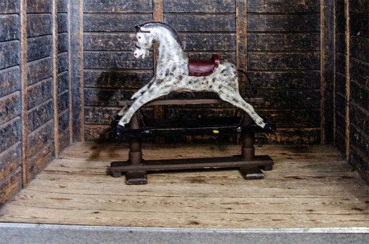 Con ngựa gọi hồn của nhà ngoại cảm nổi tiếng bị bán đấu giá vì nghi ‘ma ám’ - Ảnh 1.
