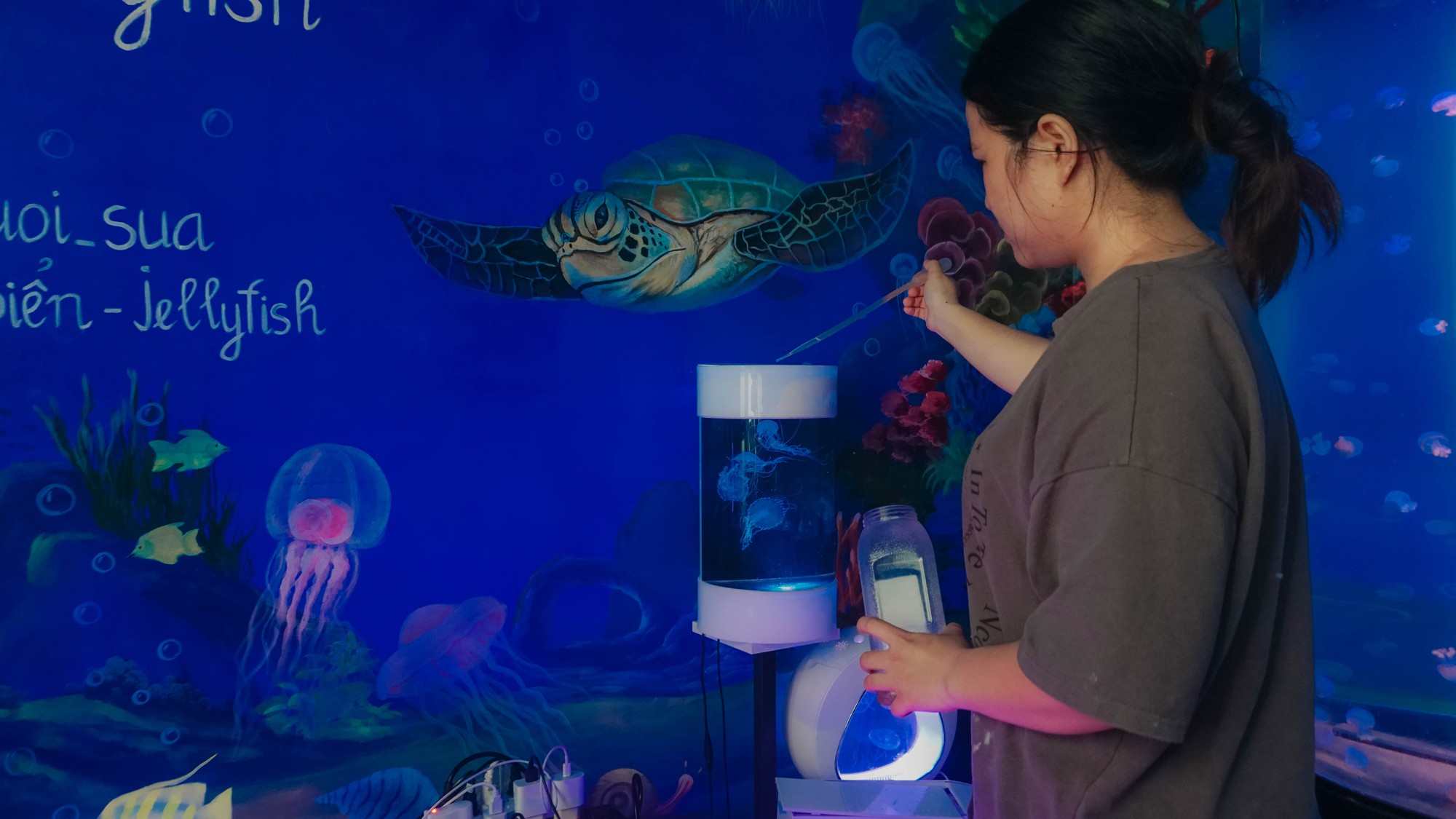 Mô hình nuôi sứa cảnh sống ảo tại nhà của cô gái trẻ ở TP HCM - Ảnh 8.