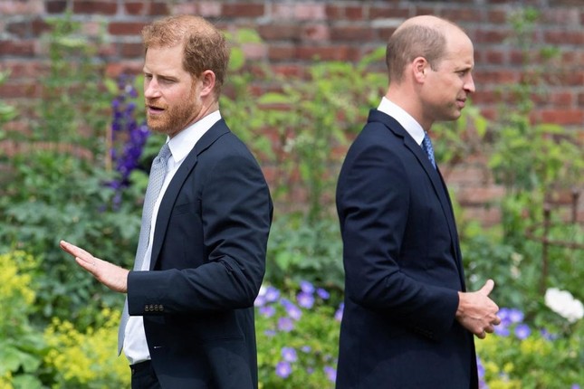 Người duy nhất c&oacute; thể h&agrave;n gắn William v&agrave; Harry - Ảnh 2.