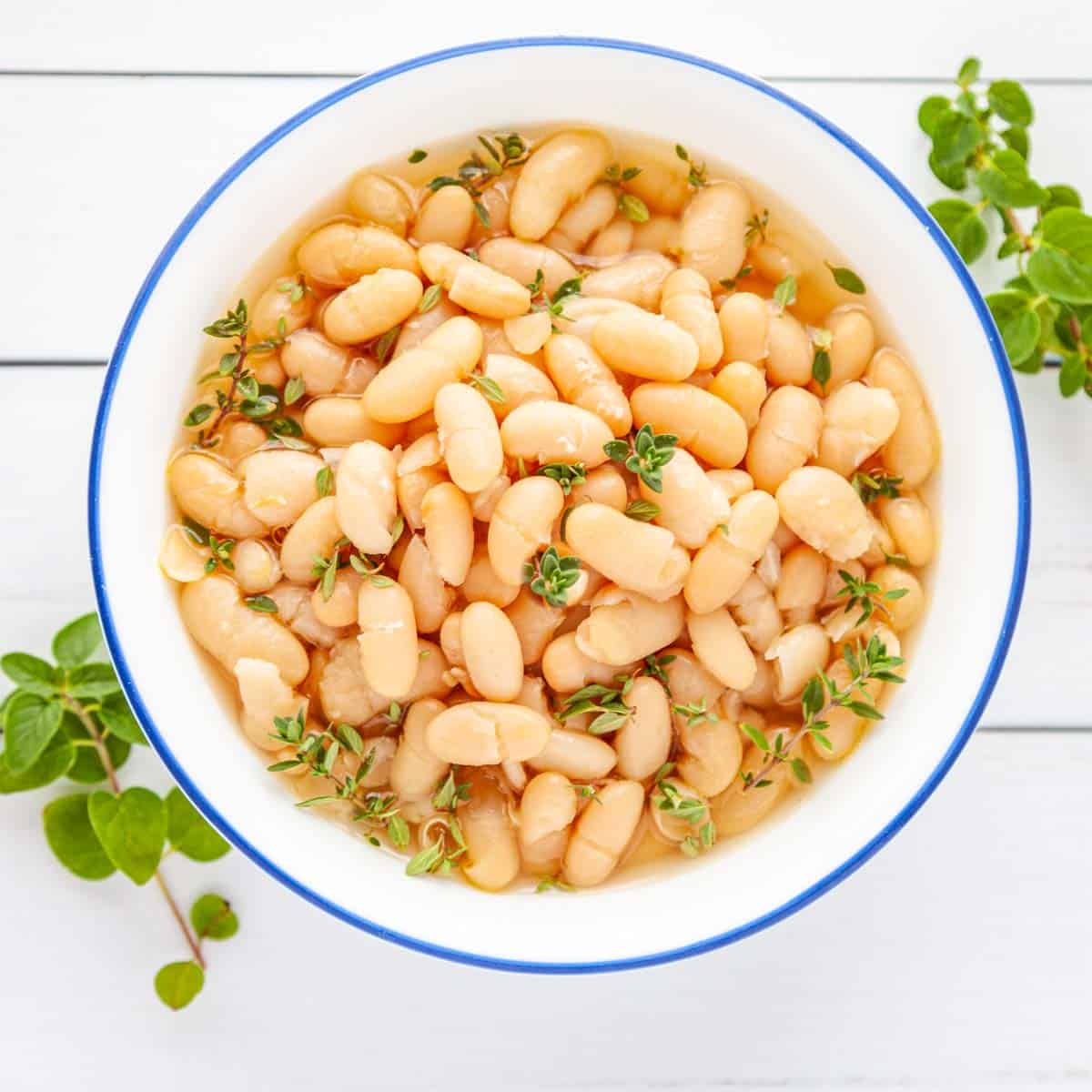 instant-pot-white-beans-16884666011051897229138.jpg