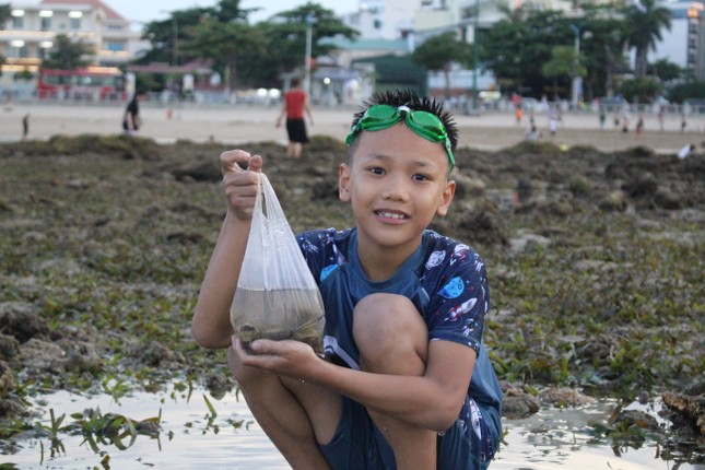 Mò cua, bắt cá ngay giữa lòng phố biển Nha Trang - Ảnh 2.