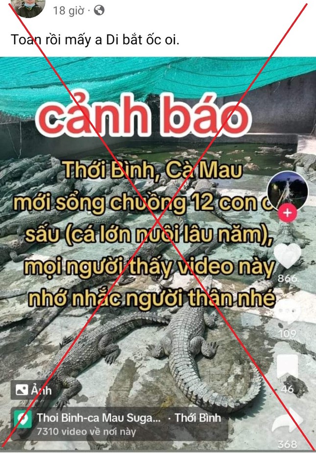 Truy tìm cá nhân đưa tin 12 con cá sấu xổng chuồng ở Cà Mau - Ảnh 1.