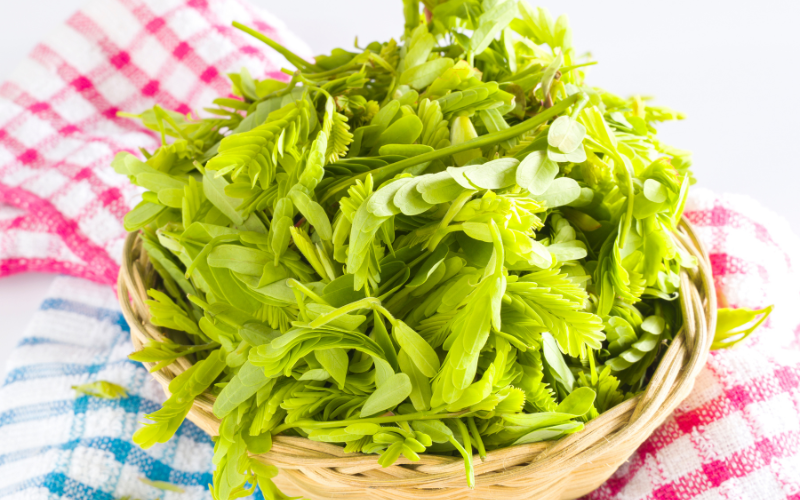 Nhớ thương canh cá nục lá me non - Ảnh 1. Nhớ thương canh cá nục lá me non - Ảnh 1.