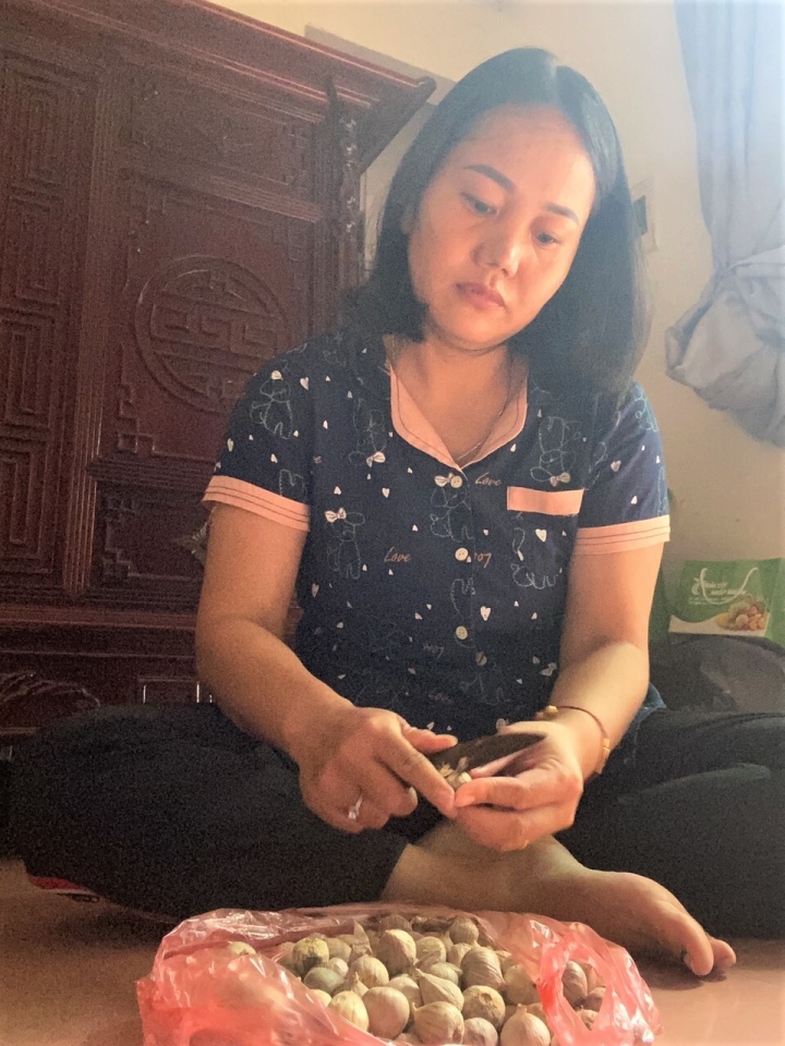 Giáo viên làm thêm đủ việc, cả bóc tỏi, cuốc cỏ thuê để nuôi nghề chính - Ảnh 1. Giáo viên làm thêm đủ việc, cả bóc tỏi, cuốc cỏ thuê để nuôi nghề chính - Ảnh 1.